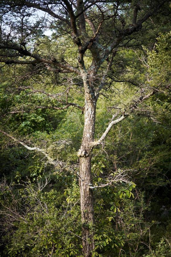 Letamo At Qwabi Private Game Reserve By Newmark Бела Бела Екстериор снимка